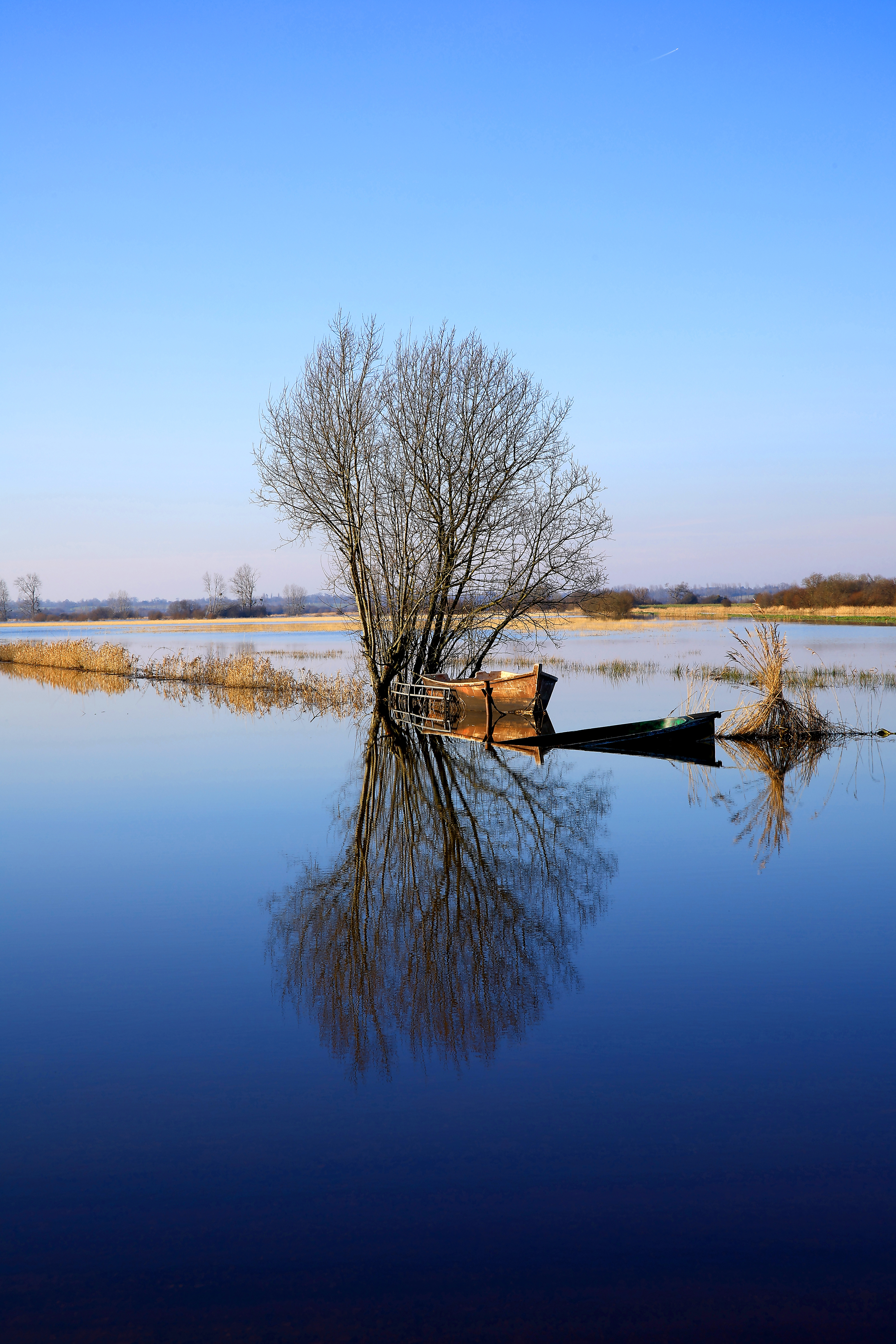 Marais du Cotentin, reflets